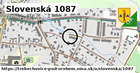 Slovenská 1087, Třebechovice pod Orebem