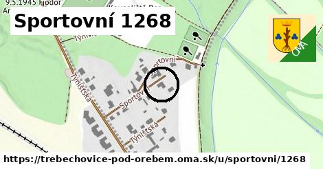 Sportovní 1268, Třebechovice pod Orebem