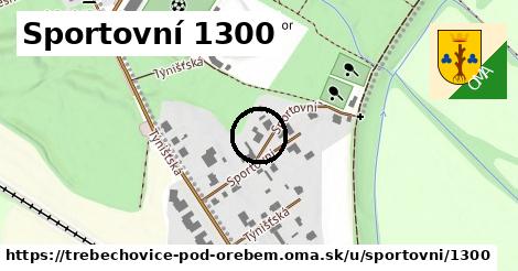 Sportovní 1300, Třebechovice pod Orebem