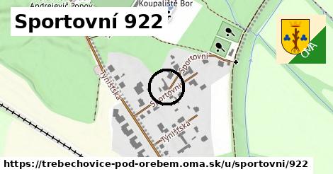 Sportovní 922, Třebechovice pod Orebem