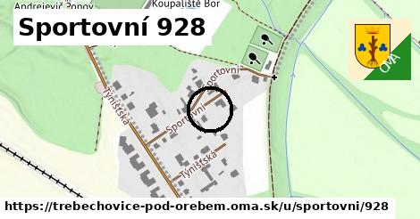 Sportovní 928, Třebechovice pod Orebem