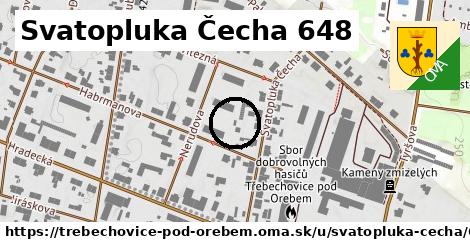 Svatopluka Čecha 648, Třebechovice pod Orebem