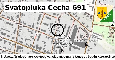 Svatopluka Čecha 691, Třebechovice pod Orebem