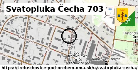 Svatopluka Čecha 703, Třebechovice pod Orebem