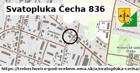 Svatopluka Čecha 836, Třebechovice pod Orebem