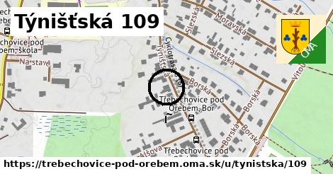 Týnišťská 109, Třebechovice pod Orebem