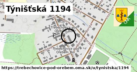 Týnišťská 1194, Třebechovice pod Orebem