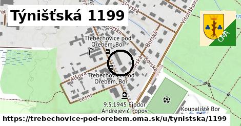 Týnišťská 1199, Třebechovice pod Orebem