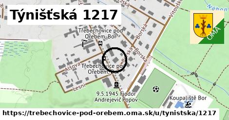 Týnišťská 1217, Třebechovice pod Orebem