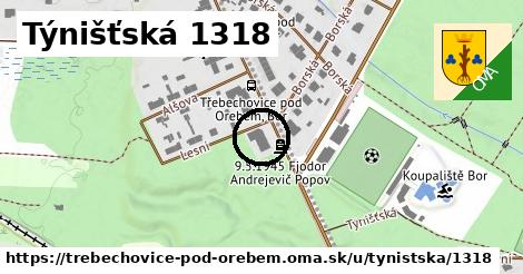 Týnišťská 1318, Třebechovice pod Orebem