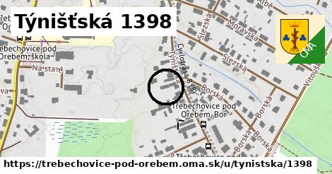 Týnišťská 1398, Třebechovice pod Orebem