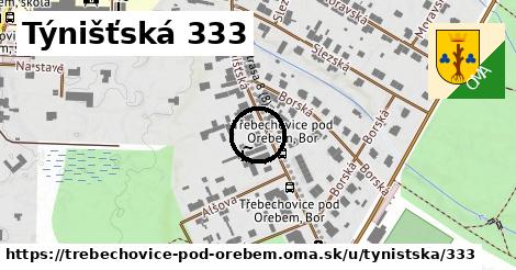 Týnišťská 333, Třebechovice pod Orebem