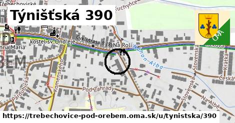 Týnišťská 390, Třebechovice pod Orebem