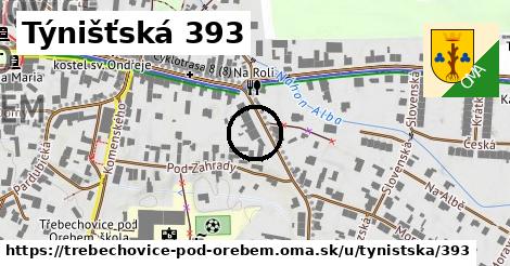 Týnišťská 393, Třebechovice pod Orebem