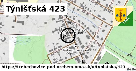 Týnišťská 423, Třebechovice pod Orebem