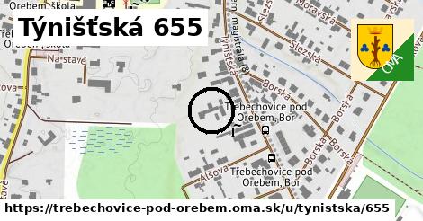 Týnišťská 655, Třebechovice pod Orebem
