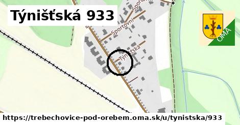 Týnišťská 933, Třebechovice pod Orebem