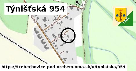 Týnišťská 954, Třebechovice pod Orebem
