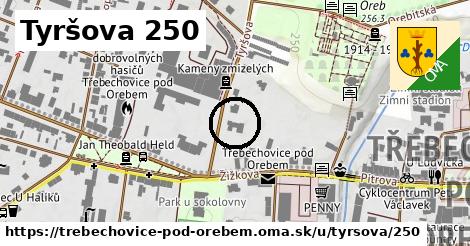 Tyršova 250, Třebechovice pod Orebem