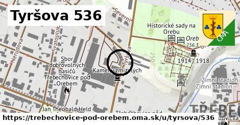 Tyršova 536, Třebechovice pod Orebem