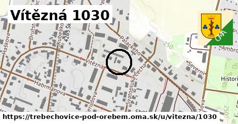 Vítězná 1030, Třebechovice pod Orebem