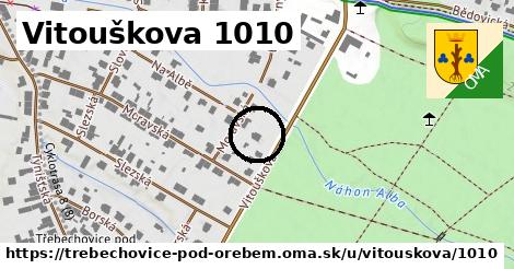 Vitouškova 1010, Třebechovice pod Orebem