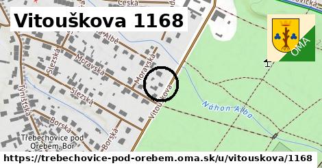 Vitouškova 1168, Třebechovice pod Orebem