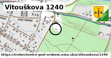 Vitouškova 1240, Třebechovice pod Orebem