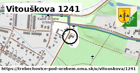Vitouškova 1241, Třebechovice pod Orebem