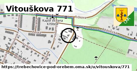 Vitouškova 771, Třebechovice pod Orebem