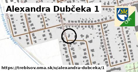 Alexandra Dubčeka 1, Trebišov