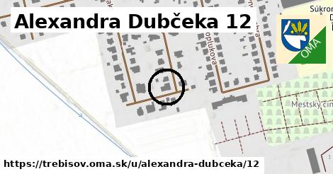 Alexandra Dubčeka 12, Trebišov