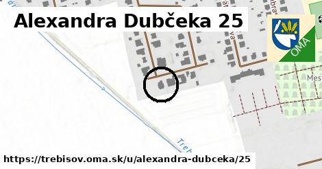 Alexandra Dubčeka 25, Trebišov
