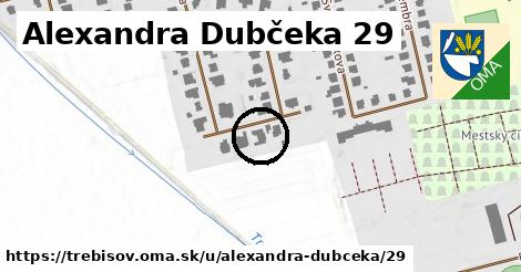 Alexandra Dubčeka 29, Trebišov
