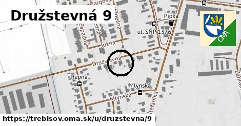 Družstevná 9, Trebišov