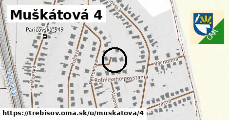 Muškátová 4, Trebišov