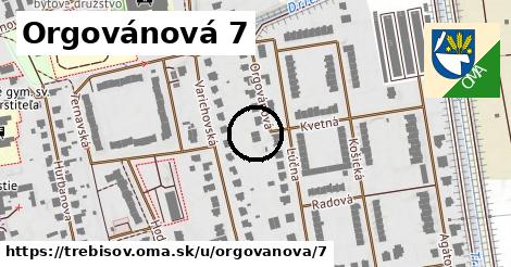 Orgovánová 7, Trebišov