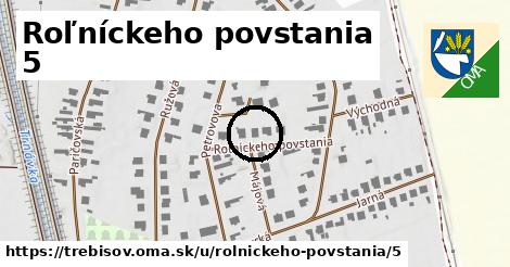 Roľníckeho povstania 5, Trebišov