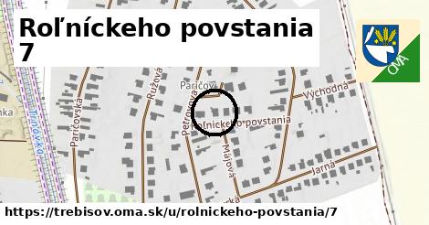 Roľníckeho povstania 7, Trebišov