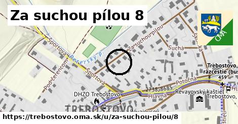 Za suchou pílou 8, Trebostovo