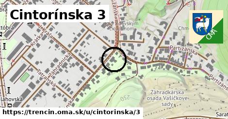 Cintorínska 3, Trenčín