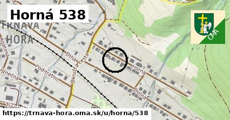 Horná 538, Trnavá Hora