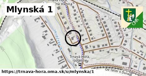 Mlynská 1, Trnavá Hora