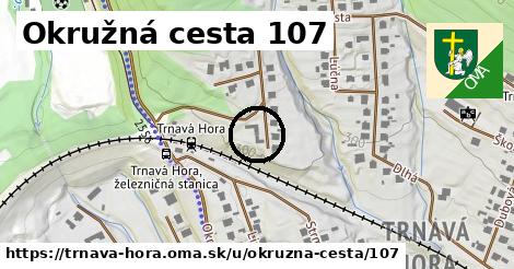 Okružná cesta 107, Trnavá Hora