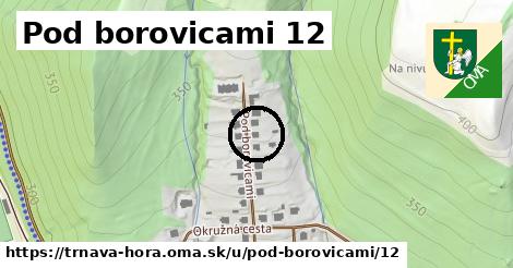 Pod borovicami 12, Trnavá Hora