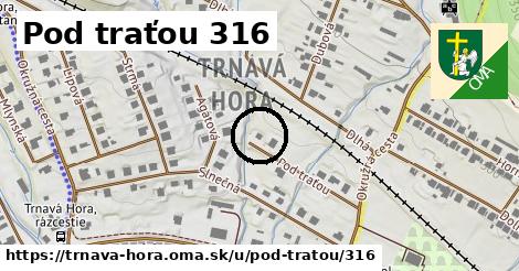 Pod traťou 316, Trnavá Hora