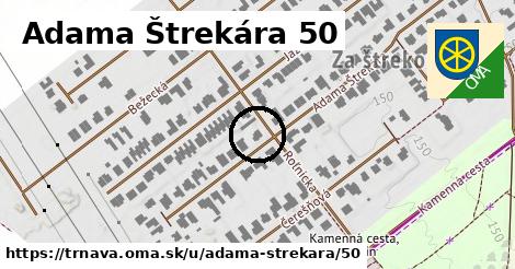 Adama Štrekára 50, Trnava