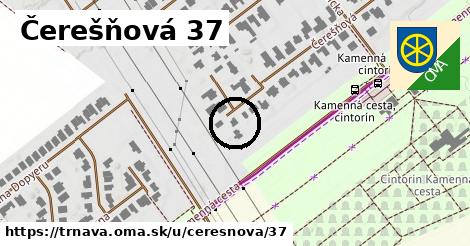Čerešňová 37, Trnava