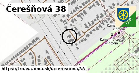 Čerešňová 38, Trnava