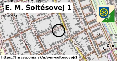 E. M. Šoltésovej 1, Trnava